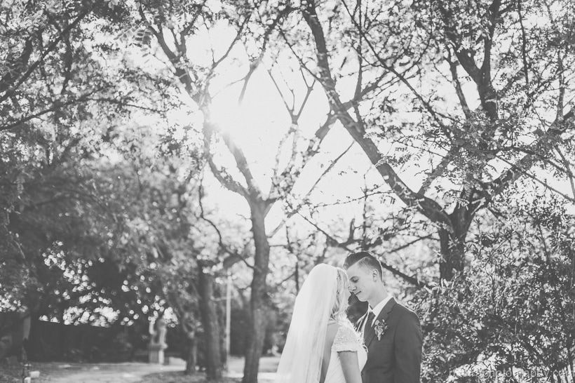 Wedding Photographer Cape Town South Africa