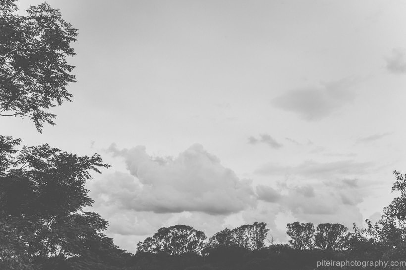Wedding Photographer Cape Town South Africa