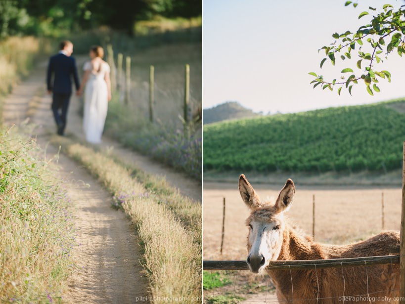 Quinta de Sant Ana Wedding