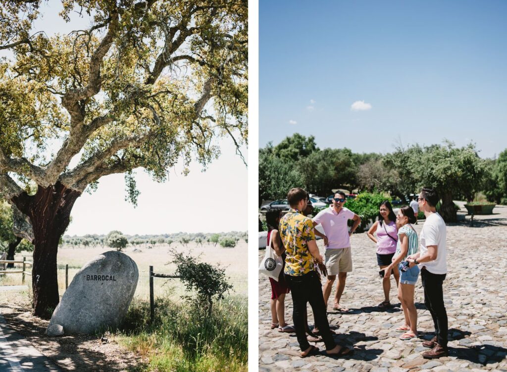 Destination Wedding Alentejo