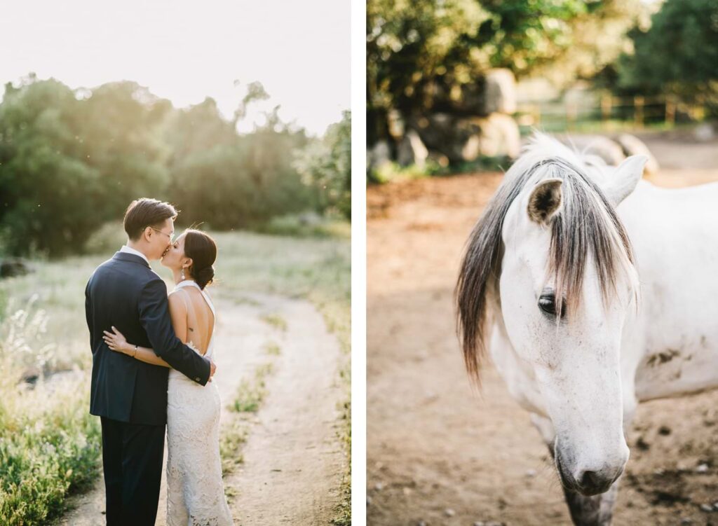 Destination Wedding Alentejo