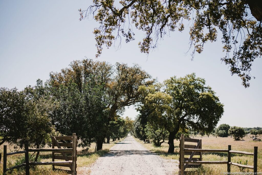Destination Wedding Alentejo