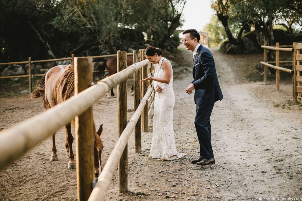 Destination Wedding Alentejo