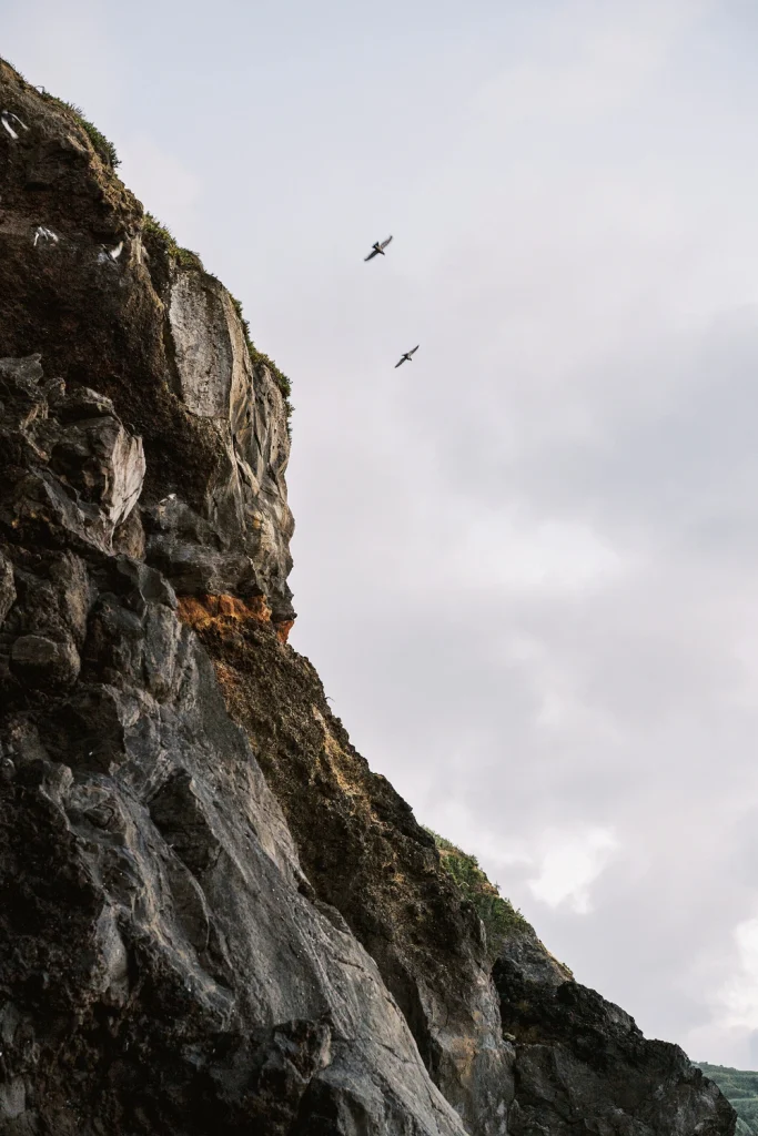 A rugged cliffside with birds soaring above against a soft, cloudy sky, capturing a dramatic and wild coastal landscape.