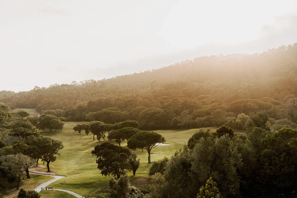 A scenic view of rolling green hills and lush trees bathed in the warm glow of golden hour, with soft sunlight filtering through the misty sky.