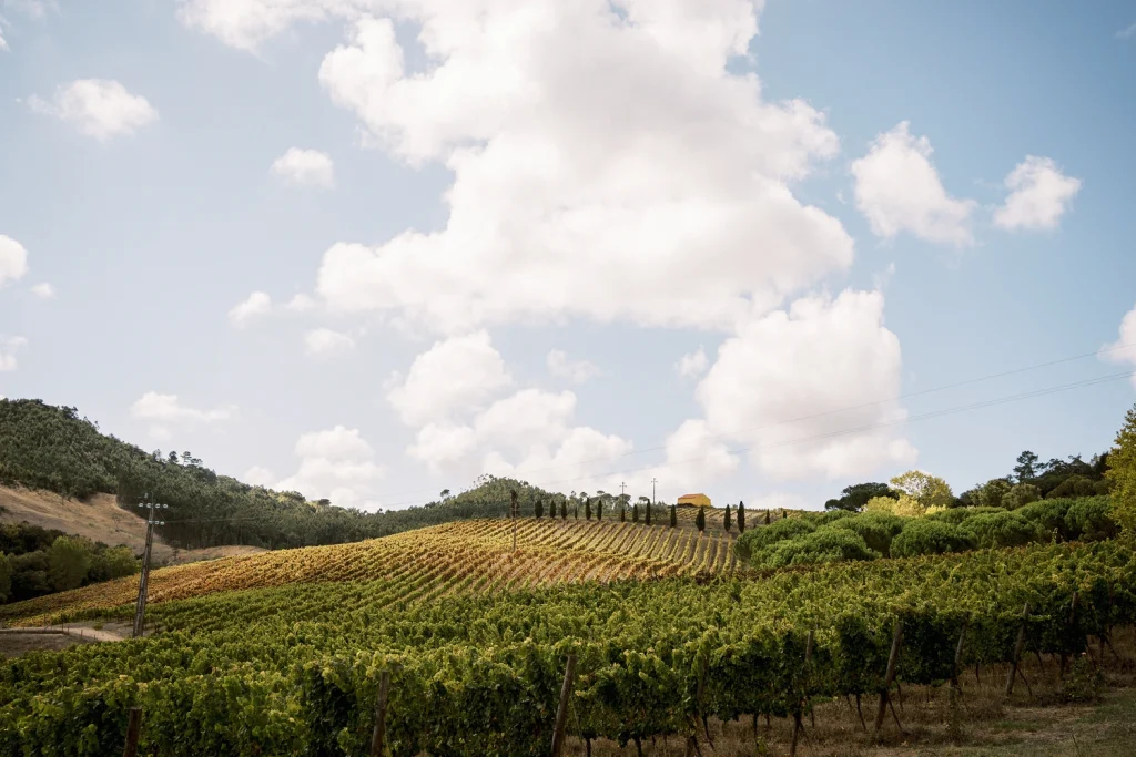Quinta de Sant'Ana. One of the most picturesque Portugal wedding venues with a vineyard with rolling hills, featuring a charming yellow house in the distance.