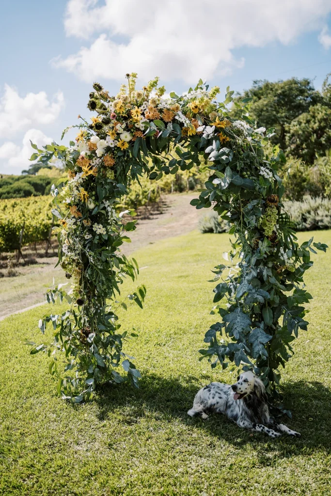 A lush wedding arch adorned with greenery and yellow wildflowers stands in a sunlit vineyard, with a spotted dog resting beneath it on the grass.