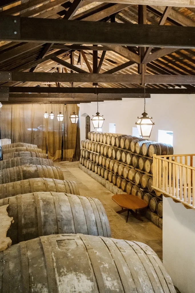 A rustic wine cellar with wooden barrels stacked along the wall, illuminated by warm hanging lanterns.