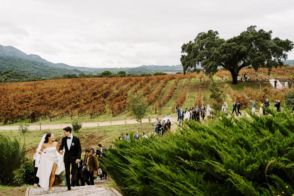 A newlywed couple walks hand in hand up a stone pathway, smiling, as their wedding guests follow behind through a vineyard with autumn foliage and rolling hills in the background.